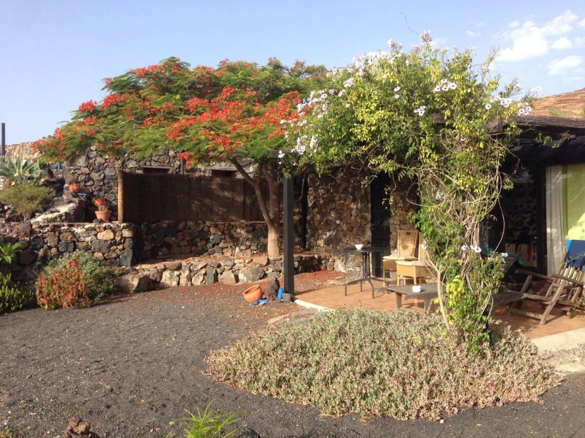 Apartamento Rural Oasis 2 Daire Haría Dış mekan fotoğraf
