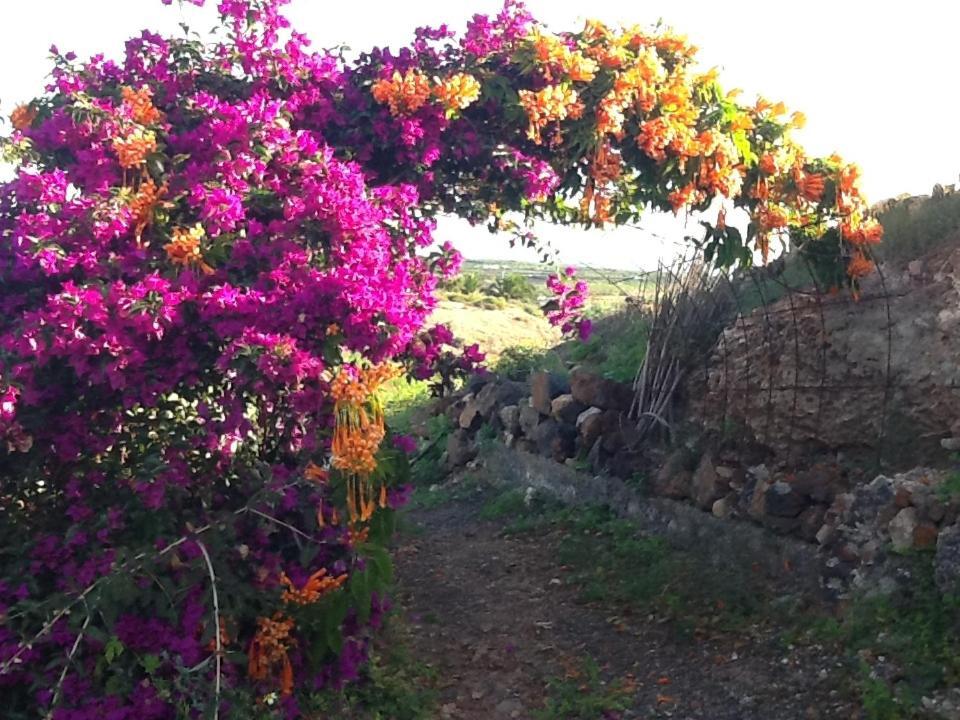 Apartamento Rural Oasis 2 Daire Haría Dış mekan fotoğraf